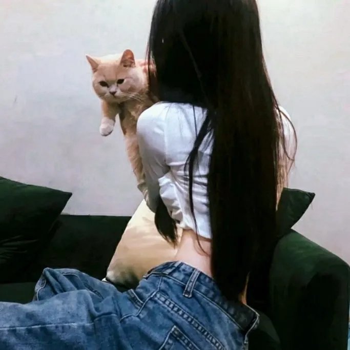 校园秘密档案 在线观看